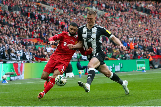 科内特以 科内特以